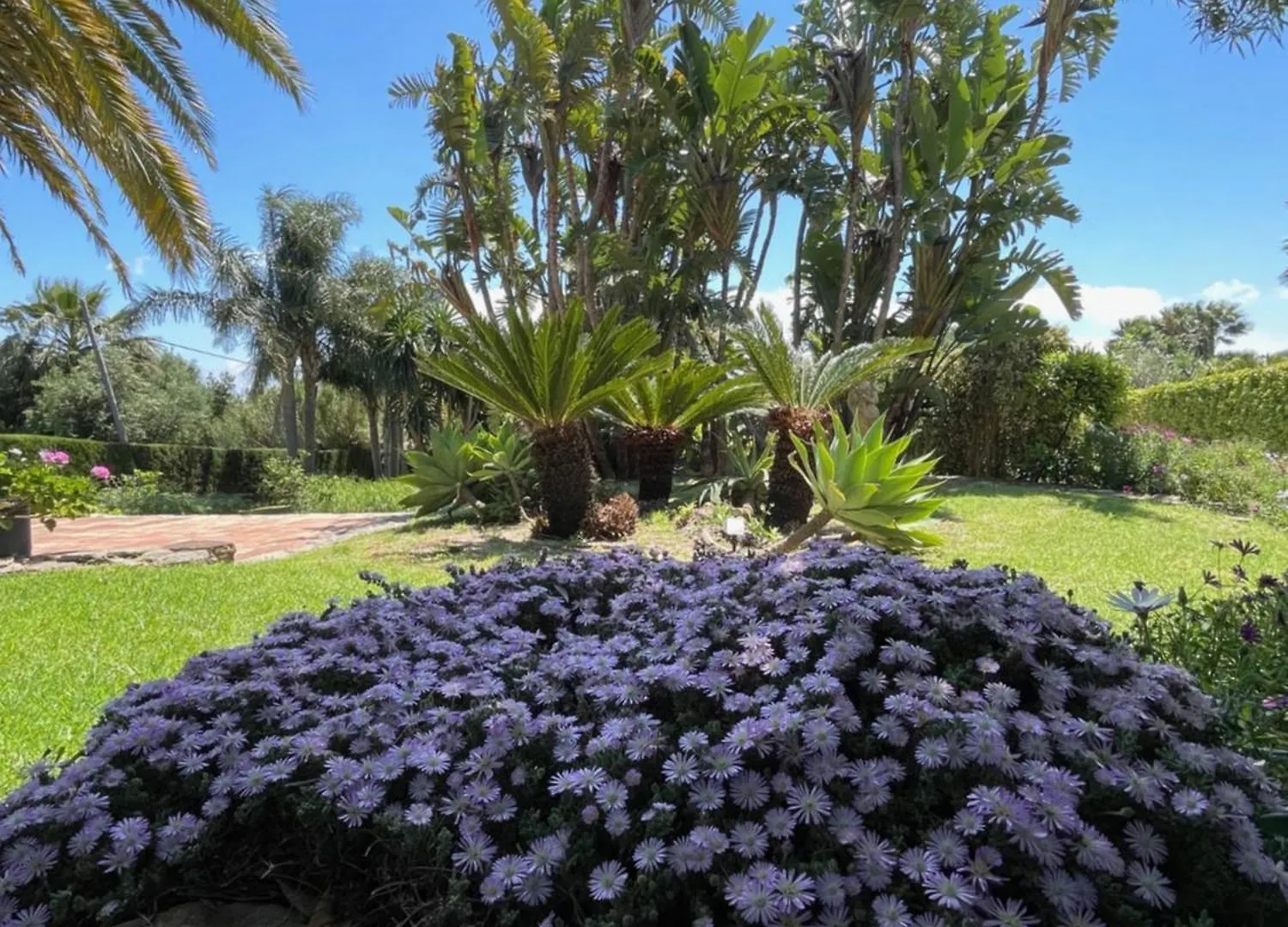 טריפה Hotel La Pena