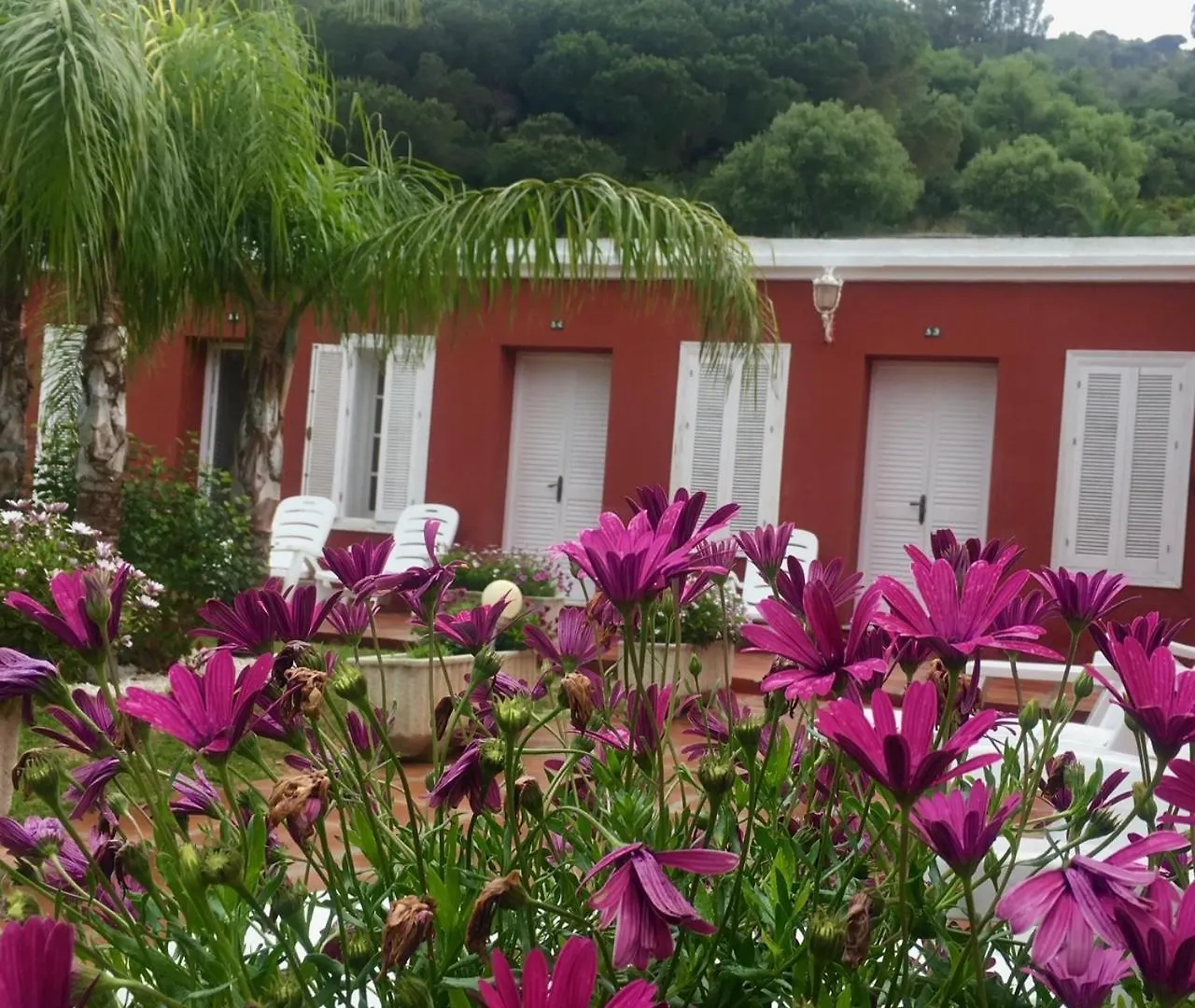 טריפה Hotel La Pena